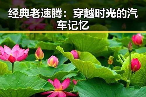 经典老速腾:穿越时光的汽车记忆