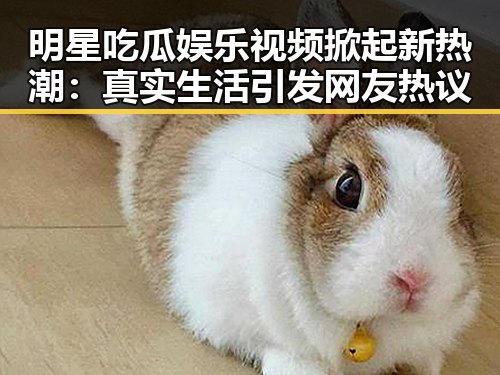 明星吃瓜娱乐视频掀起新热潮：真实生活引发网友热议