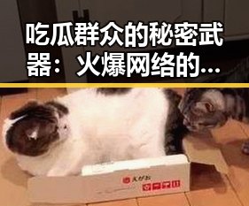 吃瓜群众的秘密武器:火爆网络的“吃瓜表情包”揭秘!